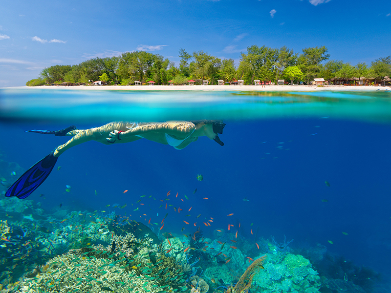 A woman snorkelling over corals at the Gili Islands